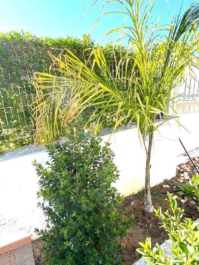 Villa Med - Private Pool, Garden, Sun All Day, Stunning Views Αλμπουφέιρα Εξωτερικό φωτογραφία